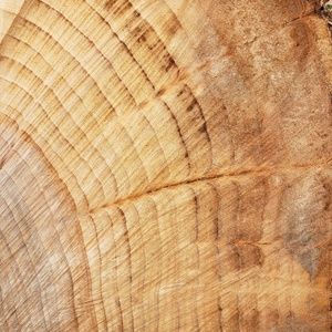 Meet your Posher, Ian